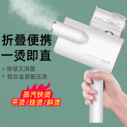 德爾瑪手持式掛燙機(jī)家用便攜式小型熨燙機(jī) 福利禮品 活動(dòng)禮品